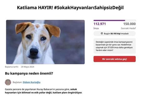 S­o­k­a­k­ ­k­ö­p­e­k­l­e­r­i­ ­i­ç­i­n­ ­i­k­i­ ­g­ü­n­d­e­ ­1­0­0­ ­b­i­n­i­n­ ­ü­z­e­r­i­n­d­e­ ­i­m­z­a­ ­t­o­p­l­a­n­d­ı­:­ ­K­a­t­l­i­a­m­a­ ­h­a­y­ı­r­
